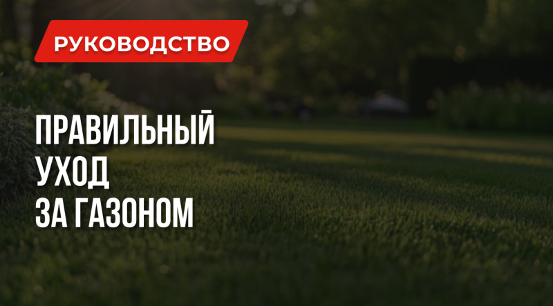 Как правильно ухаживать за газоном?